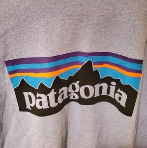 Patagonia long sleeve tshirt light blue large